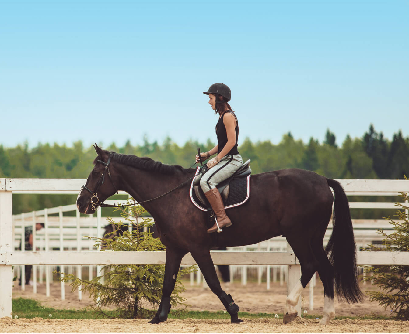 Girl riding a horse.